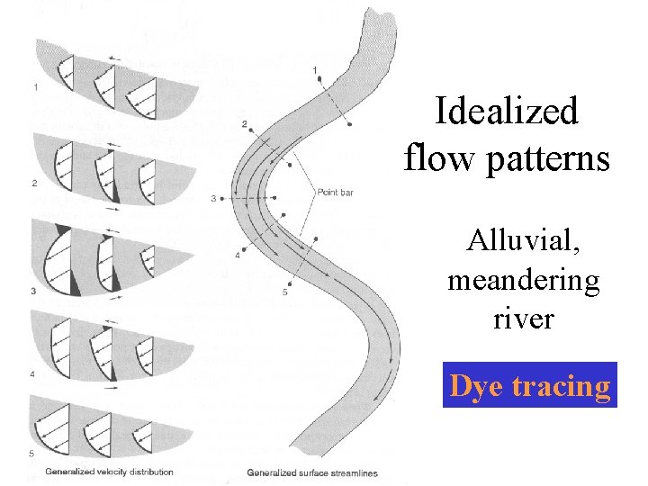 Idealized flow patterns Alluvial, meandering river Dye tracing 