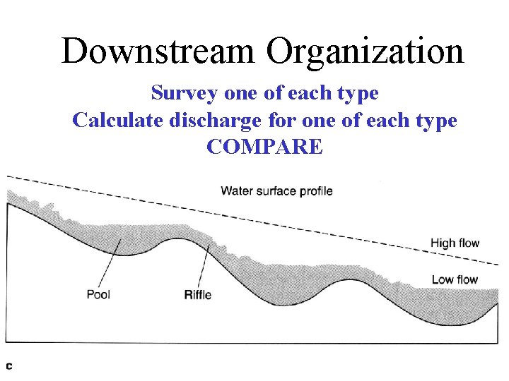 Downstream Organization Survey one of each type Calculate discharge for one of each type
