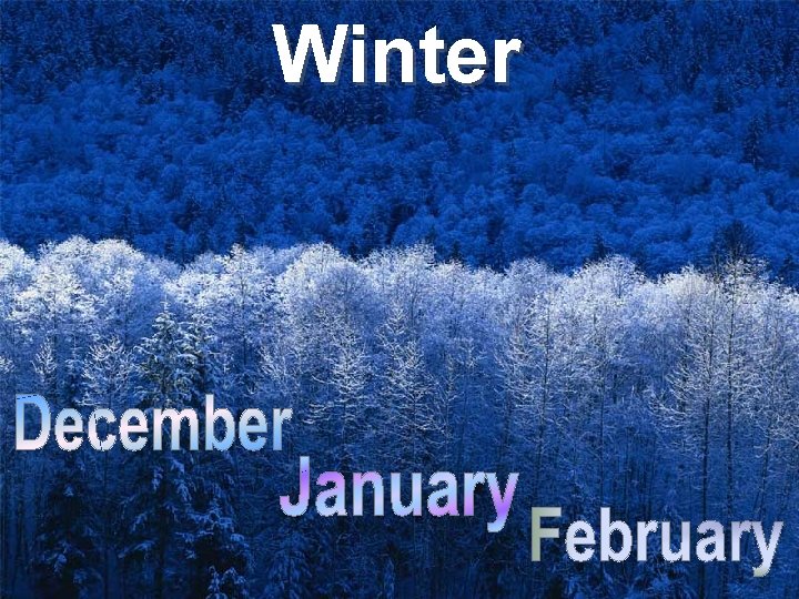 Winter 