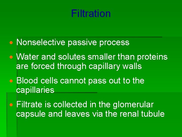 Filtration · Nonselective passive process · Water and solutes smaller than proteins are forced