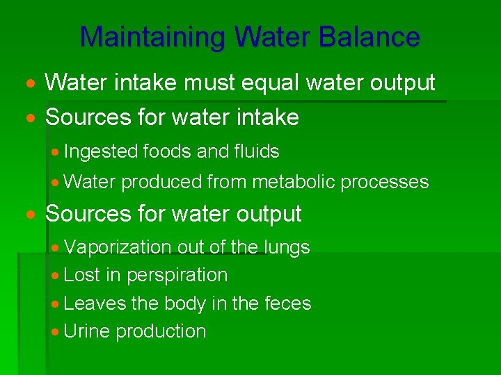Maintaining Water Balance · Water intake must equal water output · Sources for water