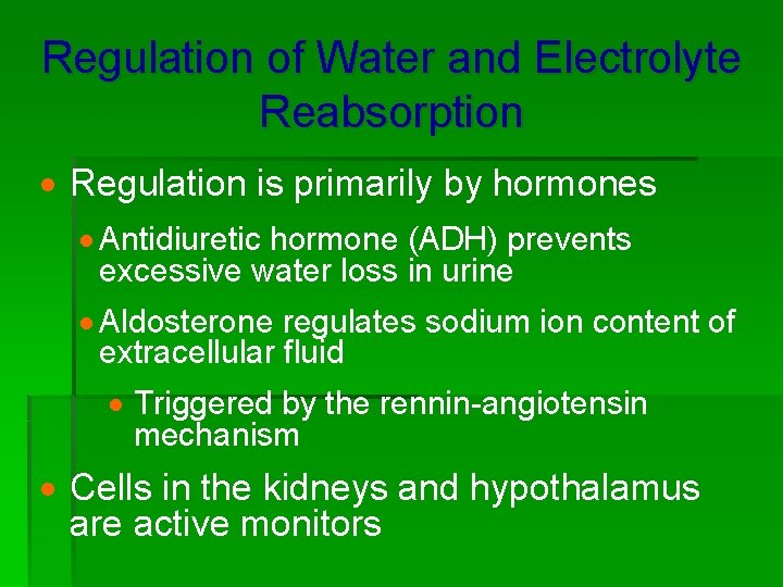 Regulation of Water and Electrolyte Reabsorption · Regulation is primarily by hormones · Antidiuretic