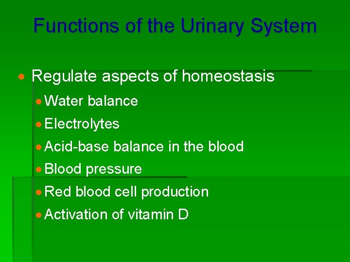 Functions of the Urinary System · Regulate aspects of homeostasis · Water balance ·
