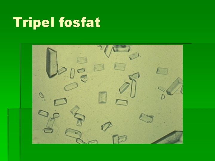Tripel fosfat 