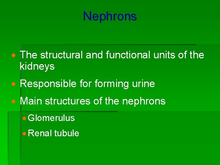 Nephrons · The structural and functional units of the kidneys · Responsible forming urine