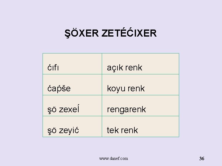 ŞÖXER ZETÉĆIXER ćıfı açık renk ćaṕše koyu renk şö zexeĺ rengarenk şö zeyić tek