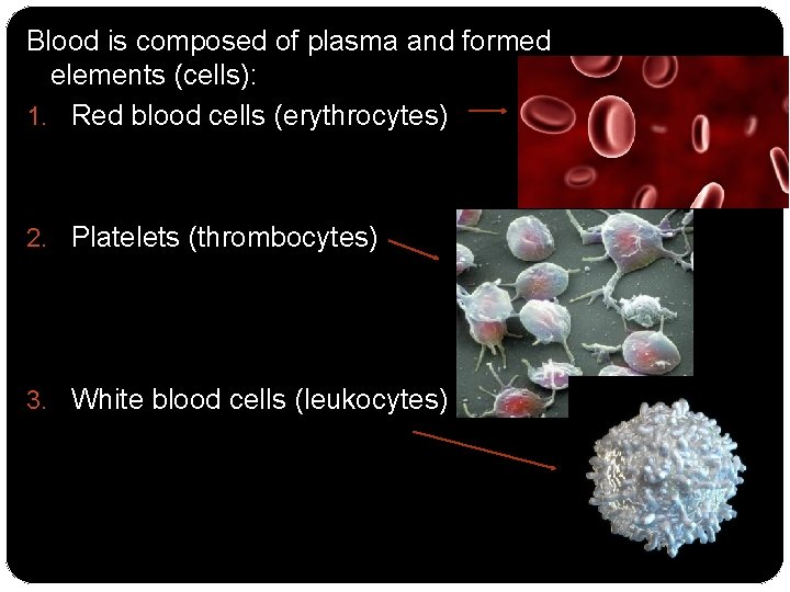 Blood is composed of plasma and formed elements (cells): 1. Red blood cells (erythrocytes)