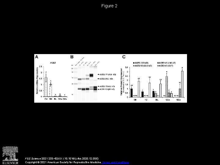 Figure 2 F&S Science 2021 233 -42 DOI: (10. 1016/j. xfss. 2020. 12. 005)