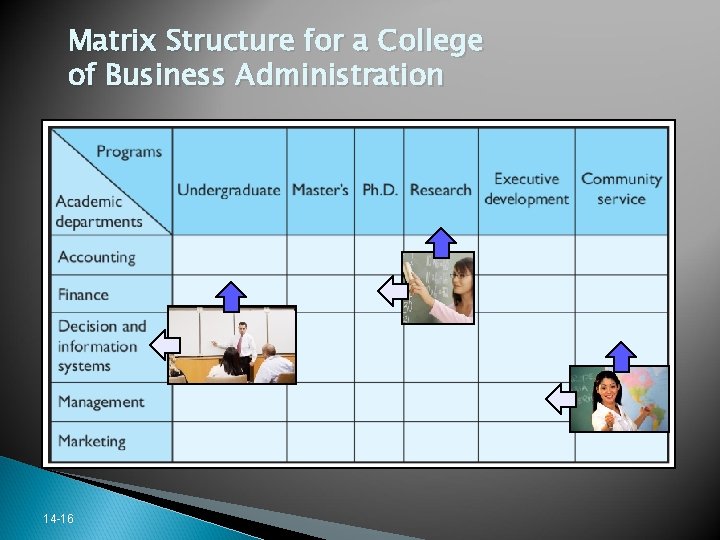 Matrix Structure for a College of Business Administration 14 -16 