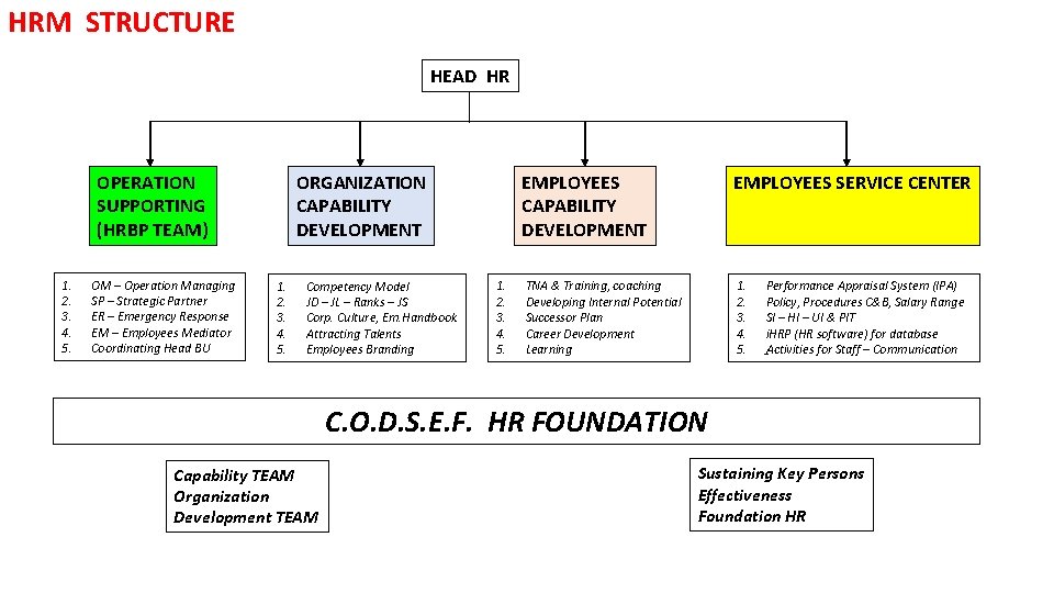 HRM STRUCTURE HEAD HR OPERATION SUPPORTING (HRBP TEAM) 1. 2. 3. 4. 5. OM