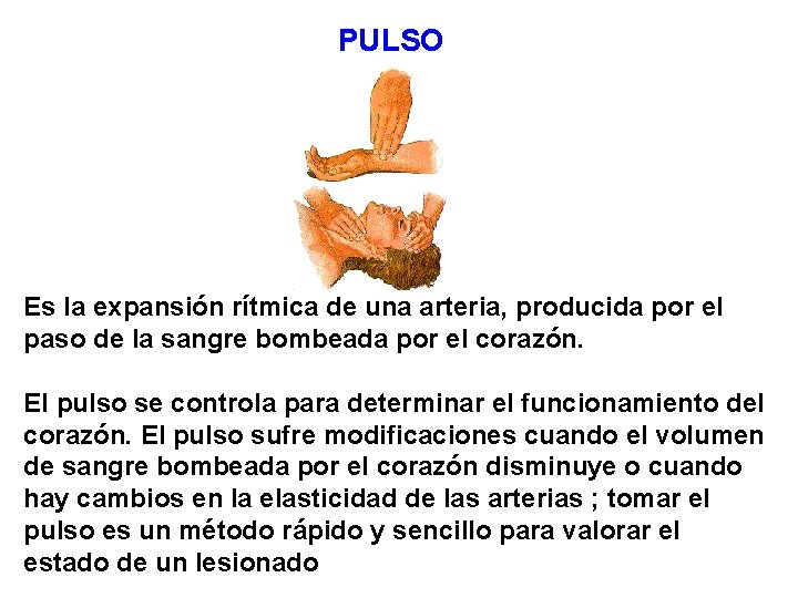 PULSO Es la expansión rítmica de una arteria, producida por el paso de la