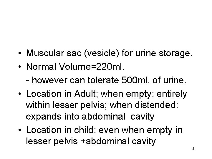  • Muscular sac (vesicle) for urine storage. • Normal Volume=220 ml. - however