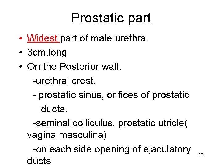 Prostatic part • Widest part of male urethra. • 3 cm. long • On
