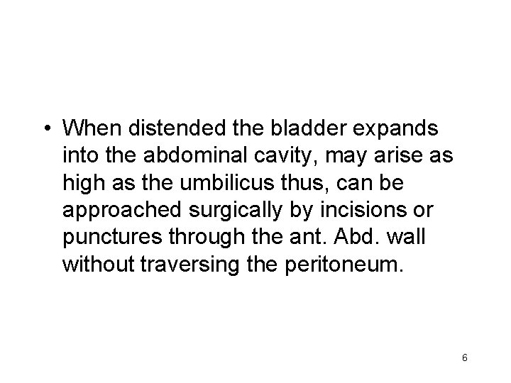  • When distended the bladder expands into the abdominal cavity, may arise as