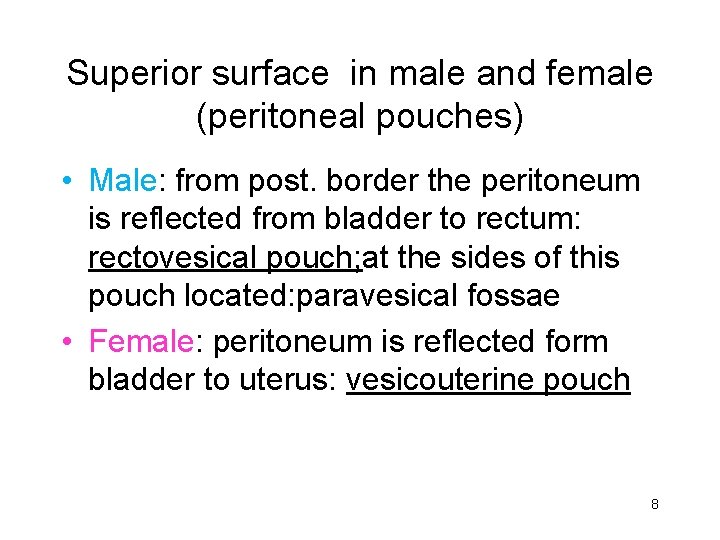 Superior surface in male and female (peritoneal pouches) • Male: from post. border the