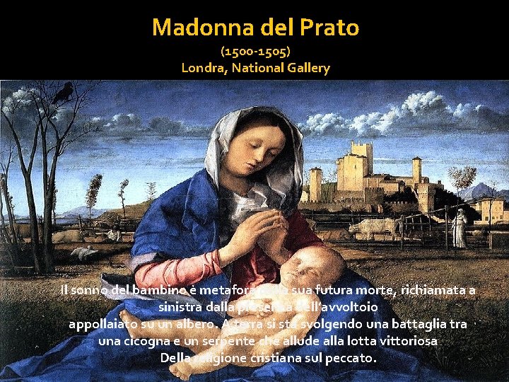 Madonna del Prato (1500 -1505) Londra, National Gallery Il sonno del bambino è metafora