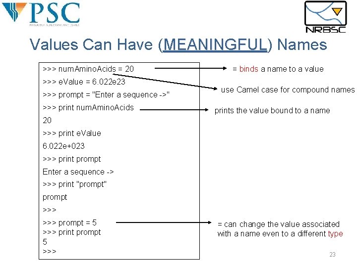 Values Can Have (MEANINGFUL) MEANINGFUL Names >>> num. Amino. Acids = 20 >>> e. Values Can Have (MEANINGFUL) MEANINGFUL Names >>> num. Amino. Acids = 20 >>> e.