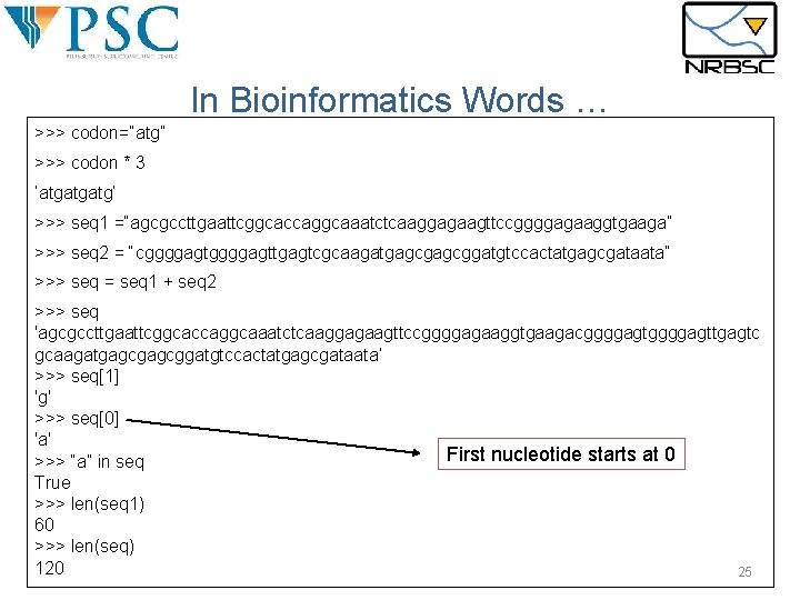 In Bioinformatics Words … >>> codon=“atg” >>> codon * 3 ’atgatgatg’ >>> seq 1 In Bioinformatics Words … >>> codon=“atg” >>> codon * 3 ’atgatgatg’ >>> seq 1