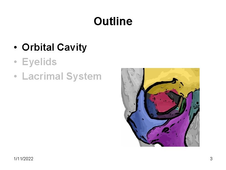 Outline • Orbital Cavity • Eyelids • Lacrimal System 1/11/2022 3 