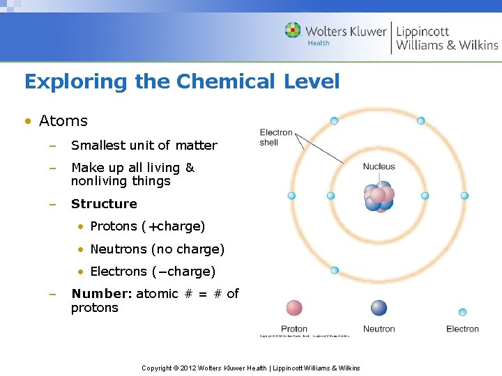 Exploring the Chemical Level • Atoms – Smallest unit of matter – Make up