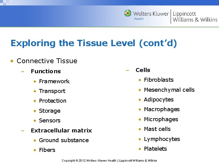 Exploring the Tissue Level (cont’d) • Connective Tissue – – – Functions Cells •