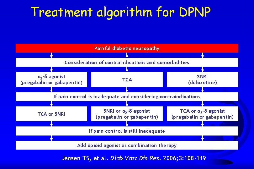 Treatment algorithm for DPNP Painful diabetic neuropathy Consideration of contraindications and comorbidities α 2