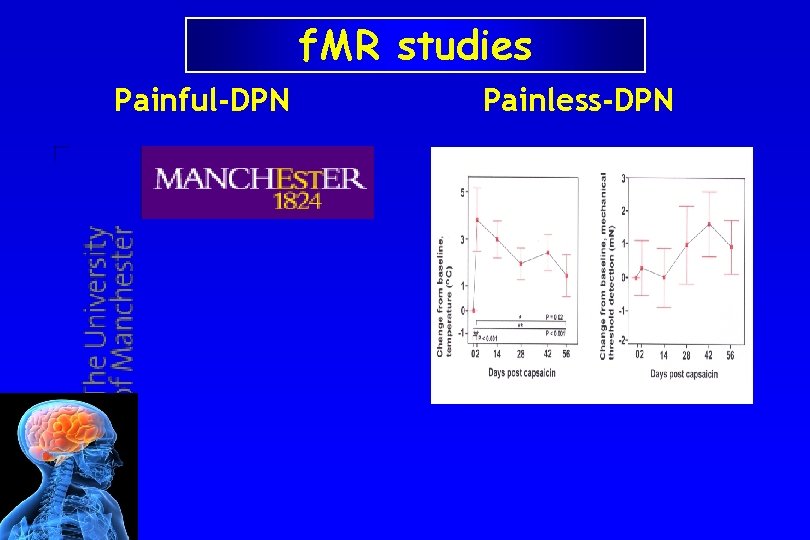 f. MR studies Painful-DPN Painless-DPN 