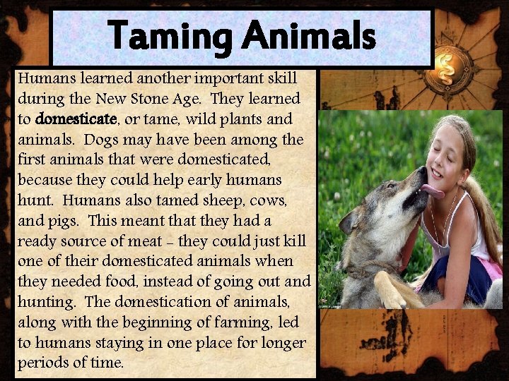 Taming Animals Humans learned another important skill during the New Stone Age. They learned