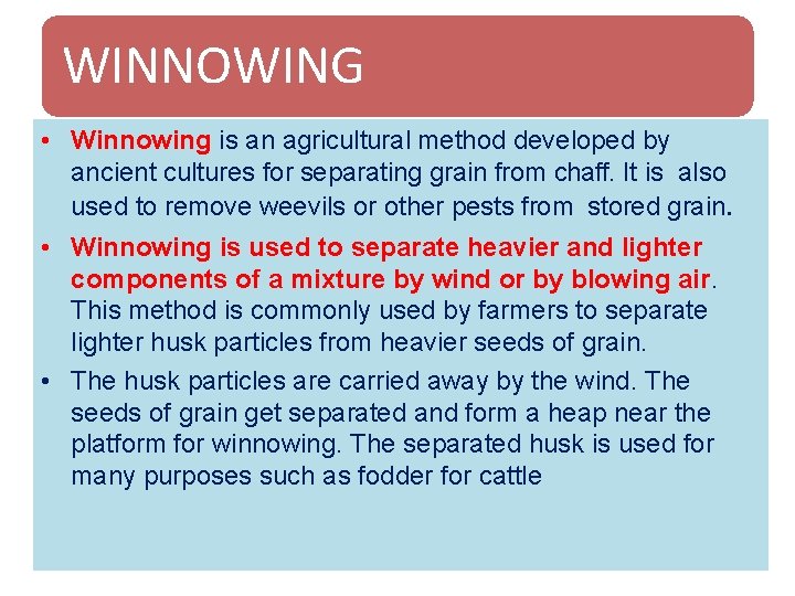 WINNOWING • Winnowing is an agricultural method developed by ancient cultures for separating grain