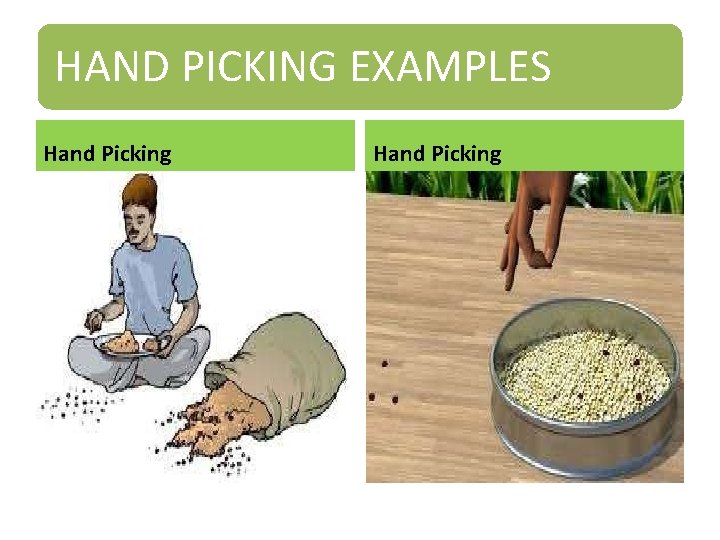 HAND PICKING EXAMPLES Hand Picking 