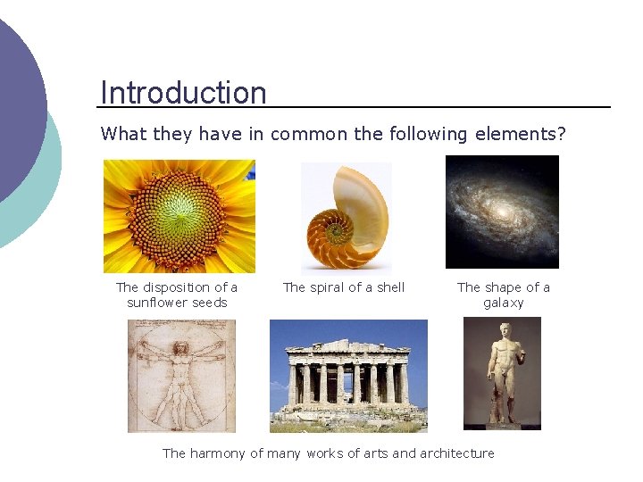 Introduction What they have in common the following elements? The disposition of a sunflower