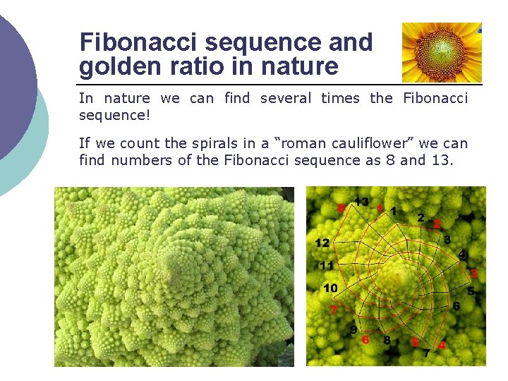 Fibonacci sequence and golden ratio in nature In nature we can find several times
