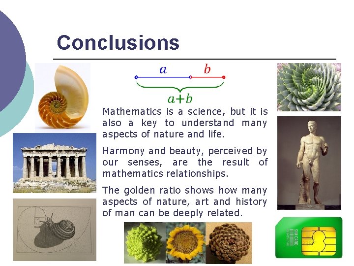 Conclusions Mathematics is a science, but it is also a key to understand many