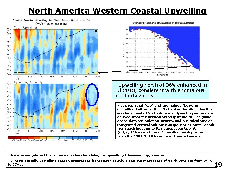 North America Western Coastal Upwelling - Upwelling north of 36 N enhanced in Jul