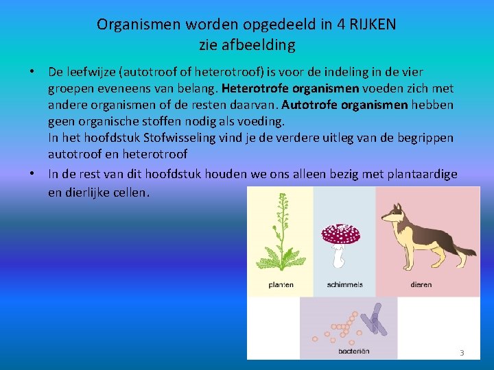 Organismen worden opgedeeld in 4 RIJKEN zie afbeelding • De leefwijze (autotroof of heterotroof)