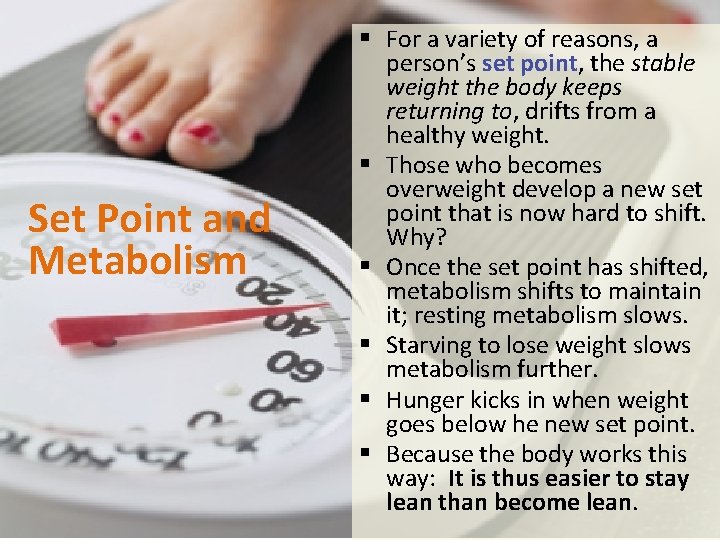 Set Point and Metabolism § For a variety of reasons, a person’s set point,