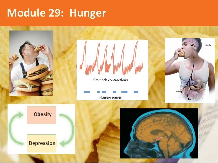 Module 29: Hunger 