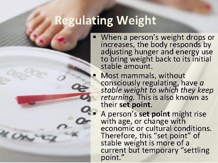 Regulating Weight § When a person’s weight drops or increases, the body responds by