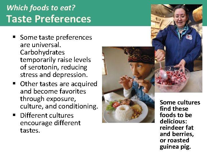 Which foods to eat? Taste Preferences § Some taste preferences are universal. Carbohydrates temporarily