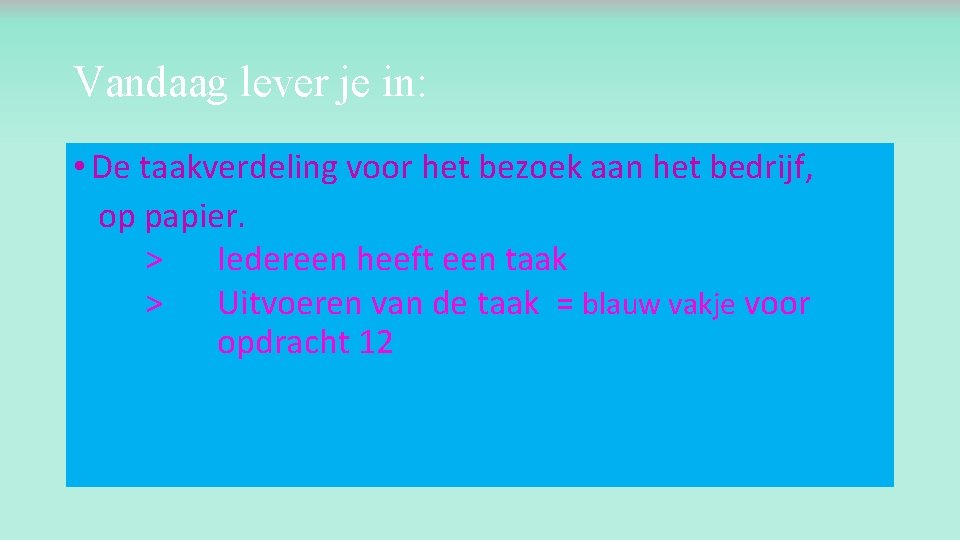 Vandaag lever je in: • De taakverdeling voor het bezoek aan het bedrijf, op