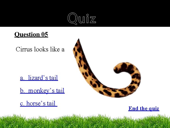Quiz Question 05 Cirrus looks like a a. lizard’s tail b. monkey’s tail c.