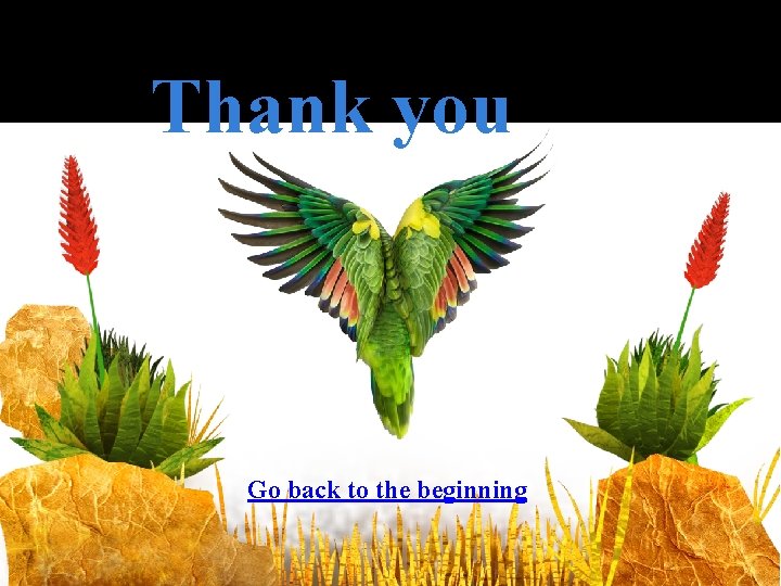 Thank you Go back to the beginning 