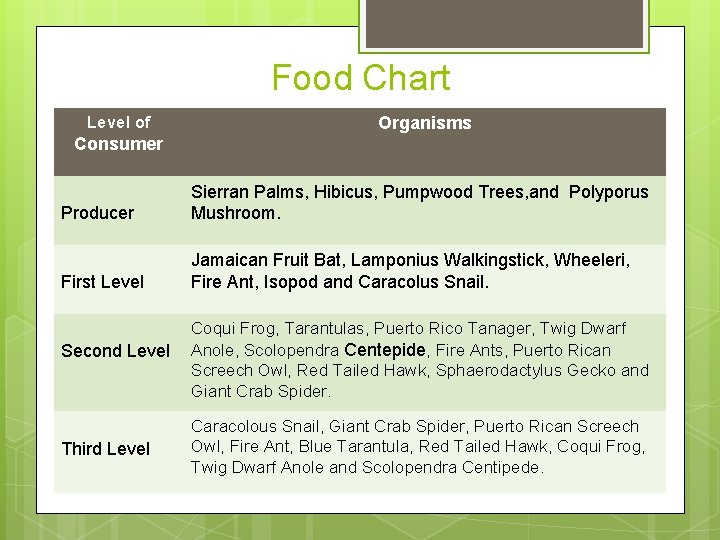 Food Chart Level of Organisms Consumer Producer Sierran Palms, Hibicus, Pumpwood Trees, and Polyporus