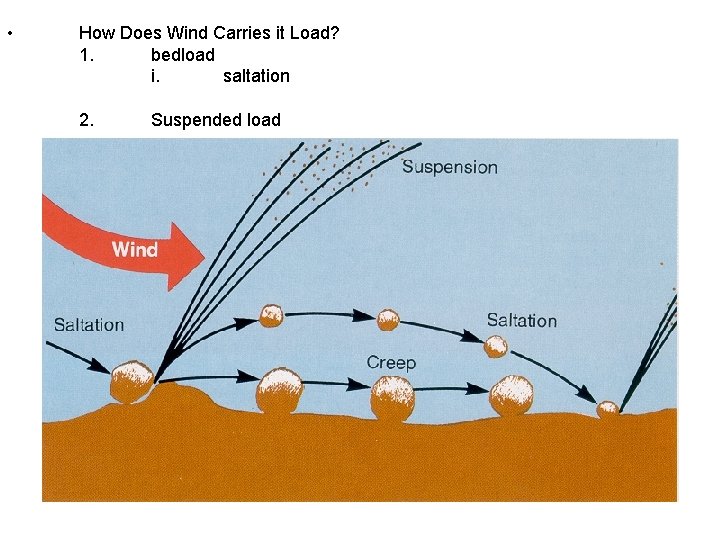  • How Does Wind Carries it Load? 1. bedload i. saltation 2. Suspended