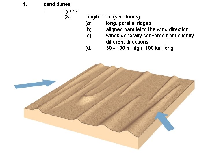 1. sand dunes i. types (3) longitudinal (seif dunes) (a) long, parallel ridges (b)