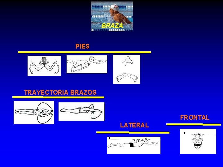 BRAZA PIES TRAYECTORIA BRAZOS FRONTAL LATERAL 