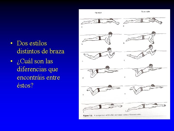  • Dos estilos distintos de braza • ¿Cuál son las diferencias que encontráis