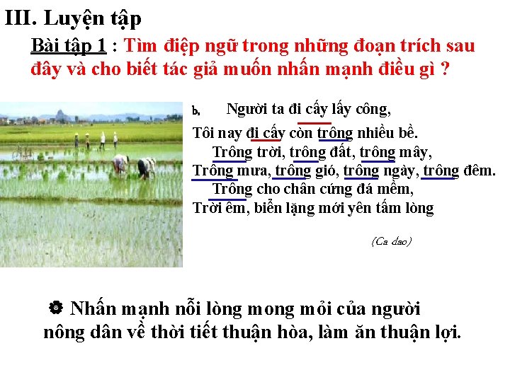 III. Luyện tập Bài tập 1 : Tìm điệp ngữ trong những đoạn trích