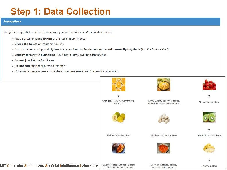 Step 1: Data Collection MIT Computer Science and Artificial Intelligence Laboratory 
