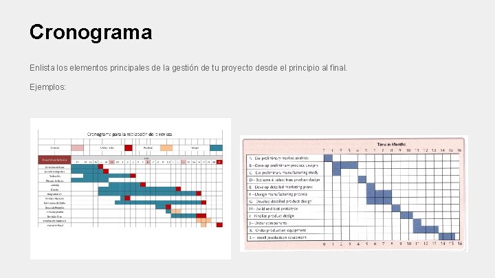 Cronograma Enlista los elementos principales de la gestión de tu proyecto desde el principio